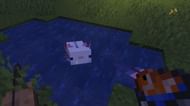 Axolotls require tropical fish to breed (Image via Mojang)